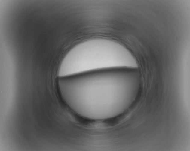 X0000114060219200910051002
