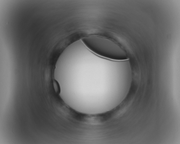 X0000114060221200910051002