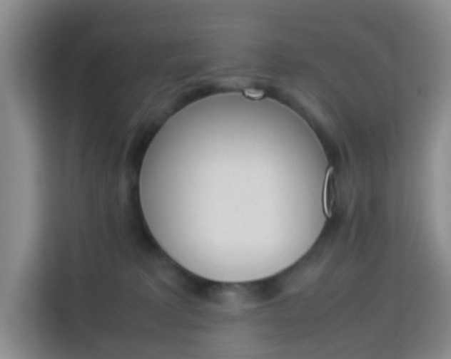 X0000114060229200910051002