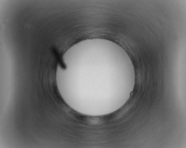 X0000114060230200910051002