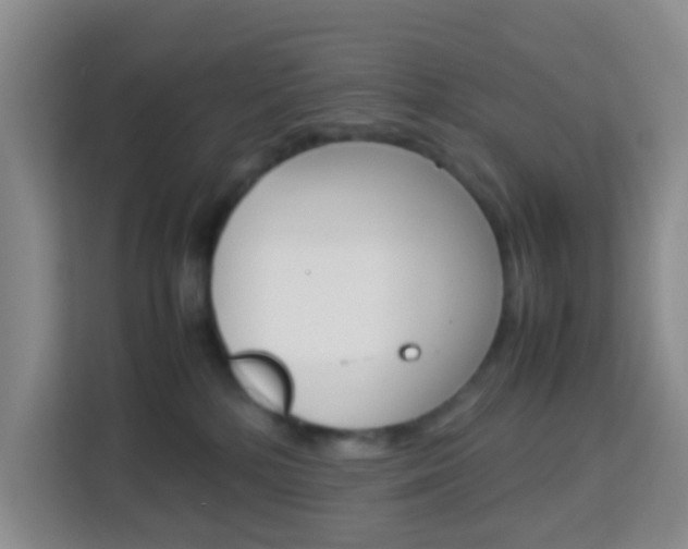 X0000114060232200910051002