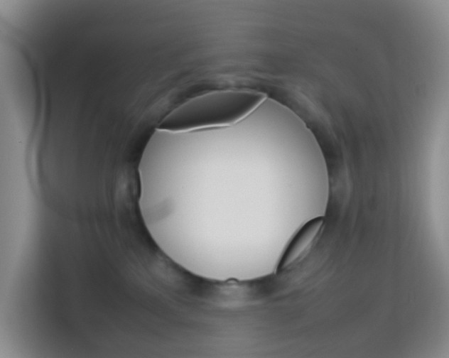 X0000114060233200910051002