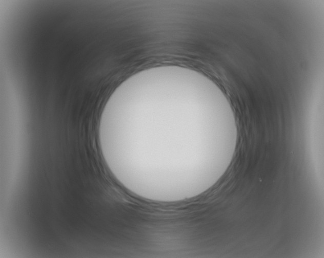 X0000114060235200910051002