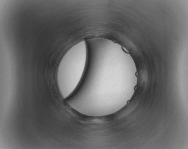 X0000114060236200910051002