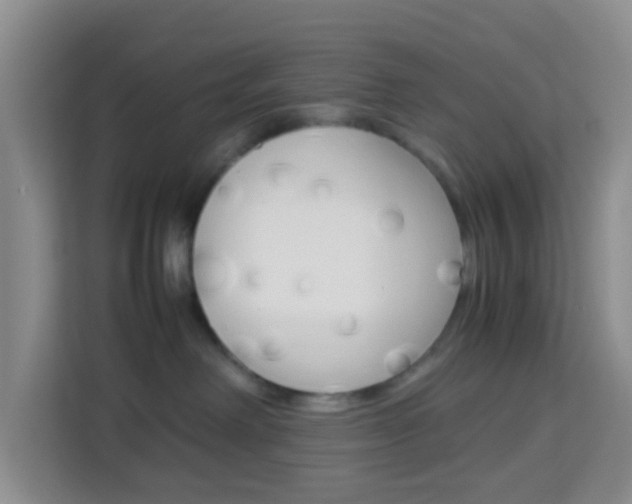 X0000114060238200910051002