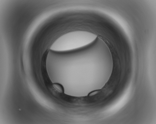 X0000114060239200910051001