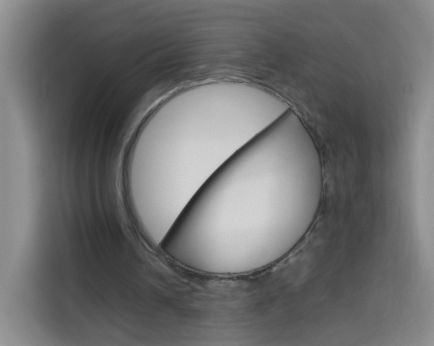 X0000114060242200910051001