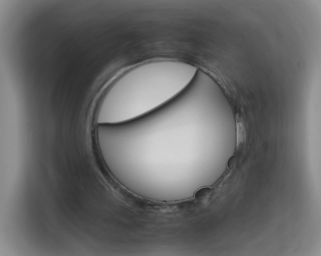 X0000114060243200910051001