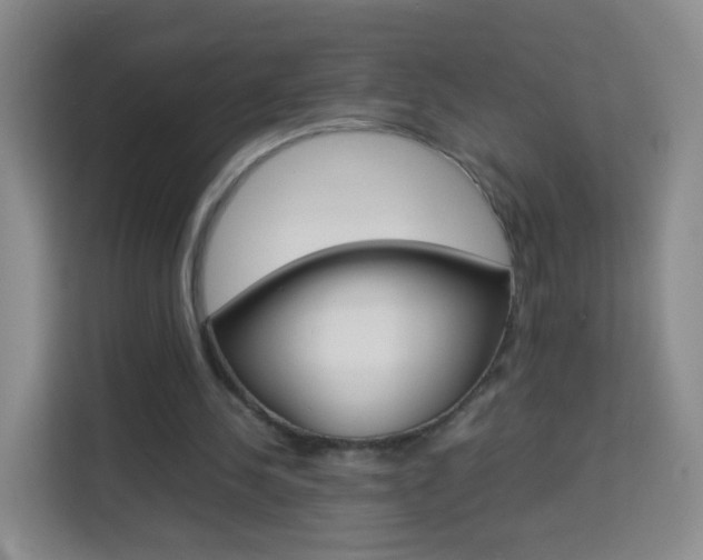X0000114060244200910051001