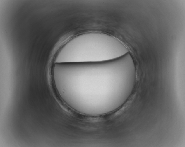 X0000114060245200910051001