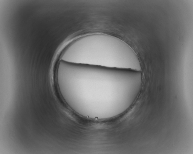 X0000114060246200910051001