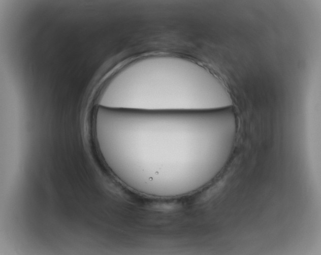 X0000114060247200910051001