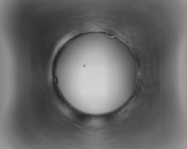 X0000114060248200910051001