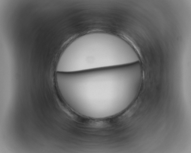 X0000114060249200910051001