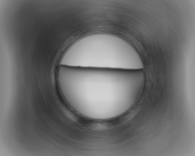 X0000114060250200910051001