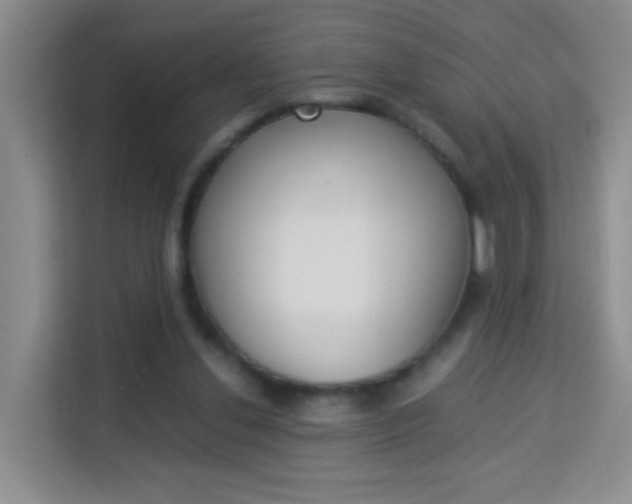 X0000114060252200910051001