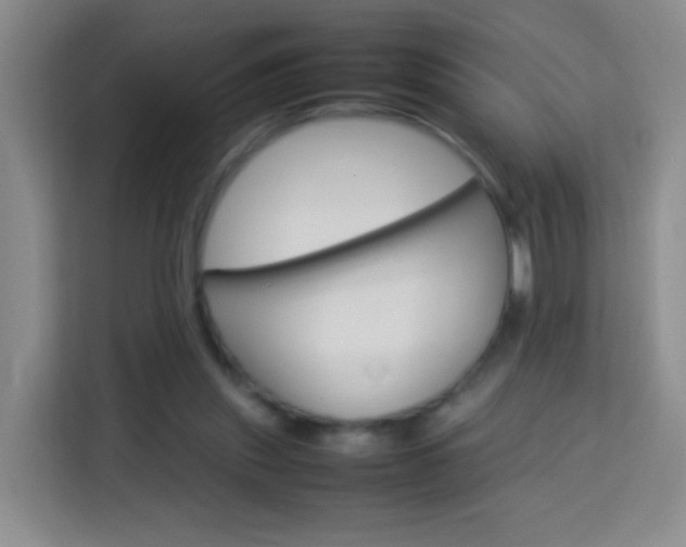 X0000114060253200910051001