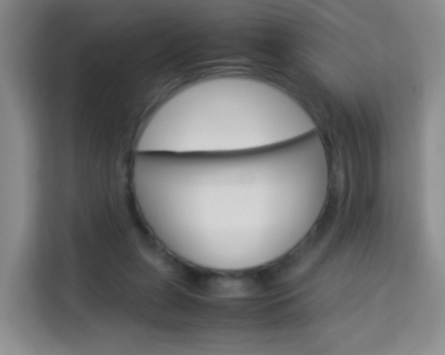 X0000114060255200910051001