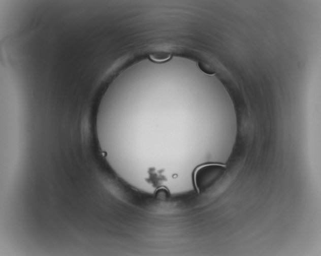 X0000114060256200910051001