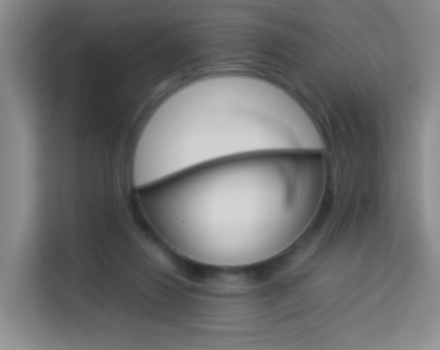 X0000114060260200910051001