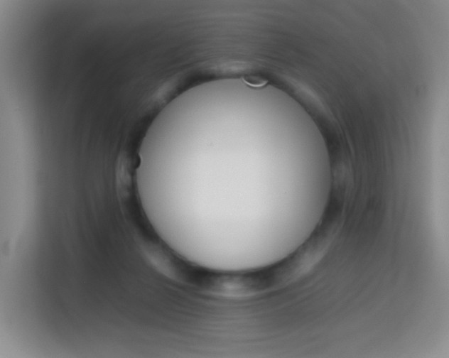 X0000114060264200910051001