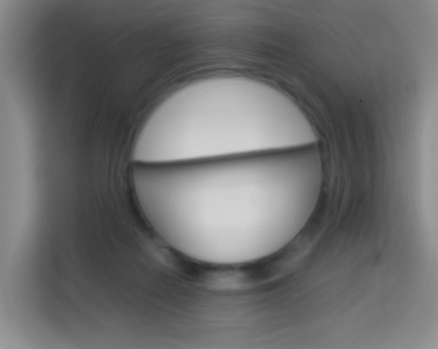 X0000114060266200910051001
