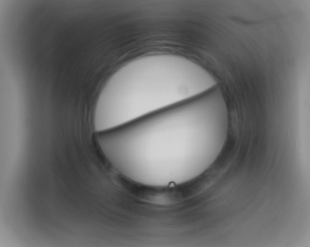 X0000114060267200910051001