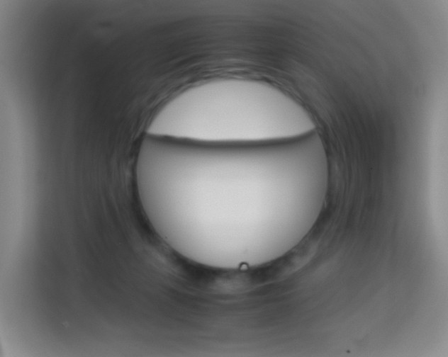 X0000114060271200910051001