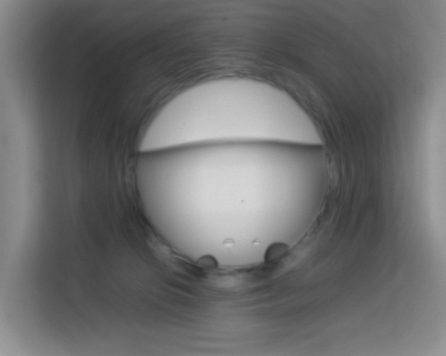 X0000114060276200910051001