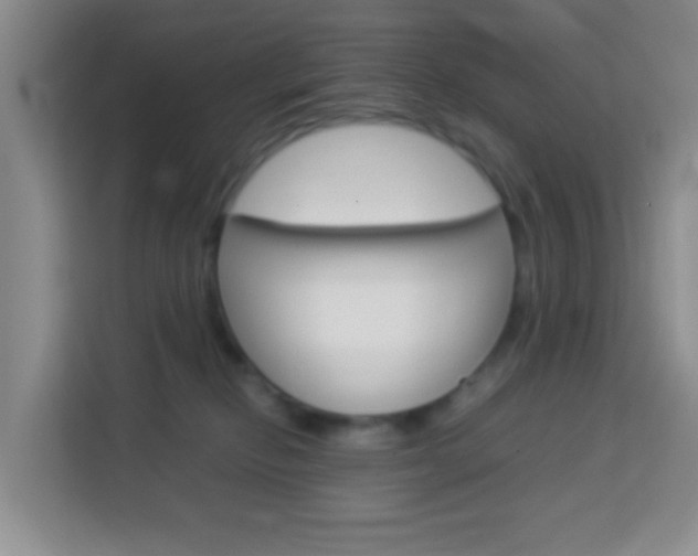 X0000114060278200910051001