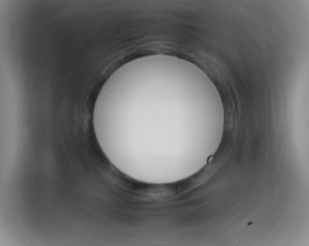 X0000114060279200910051001