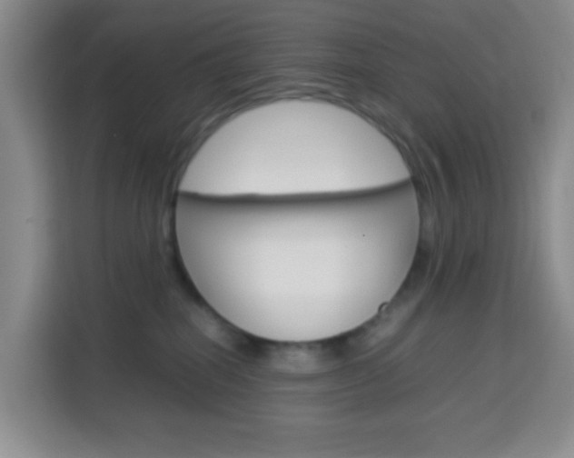 X0000114060282200910051001