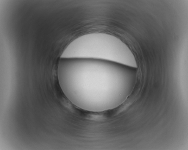 X0000114060284200910051001