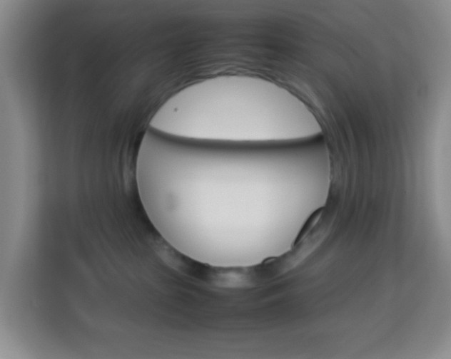 X0000114060285200910051001