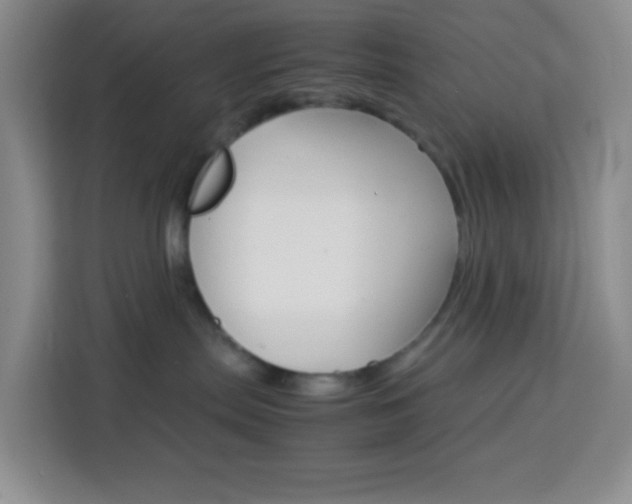 X0000114060287200910051001