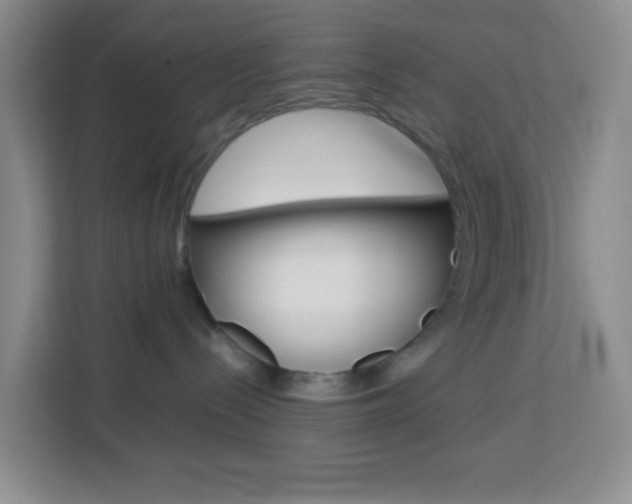 X0000114060288200910051001
