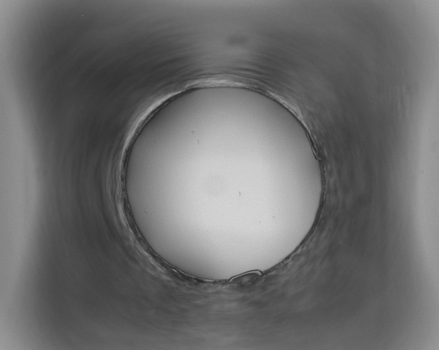 X0000114060289200910051001