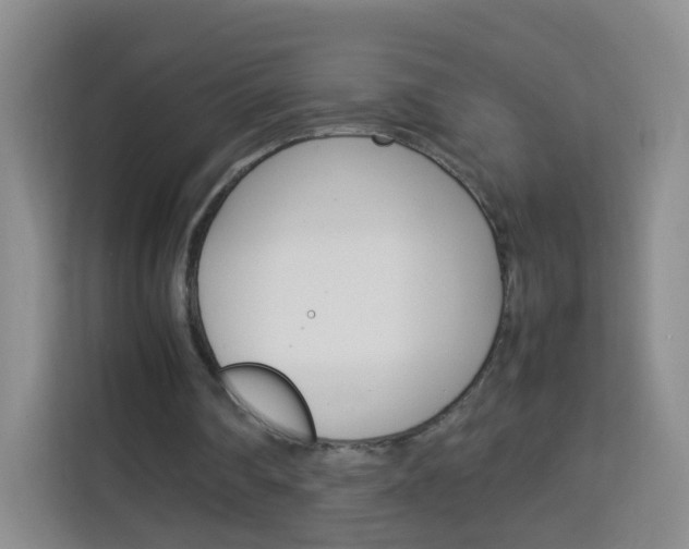 X0000114060290200910051001