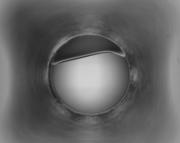 X0000114060292200910051001