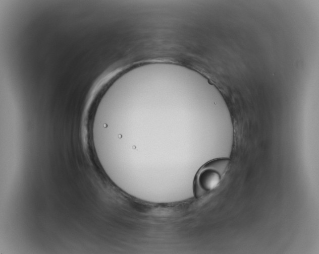 X0000114060294200910051001