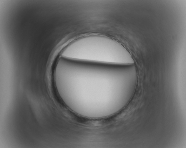 X0000114060295200910051001