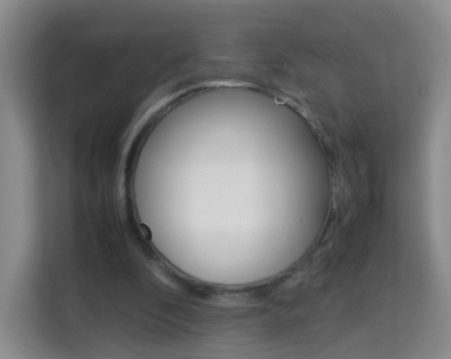 X0000114060296200910051001