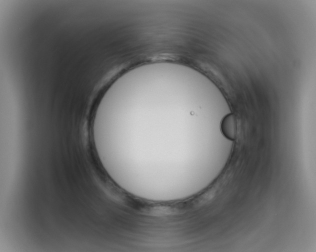 X0000114060298200910051001