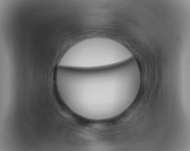 X0000114060303200910051001