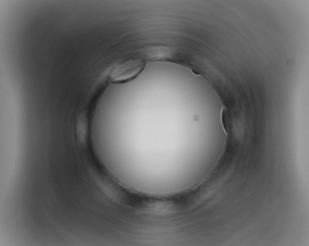 X0000114060304200910051001