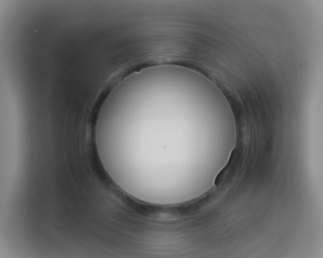 X0000114060308200910051001