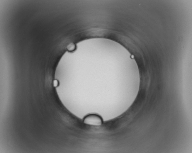 X0000114060309200910051001