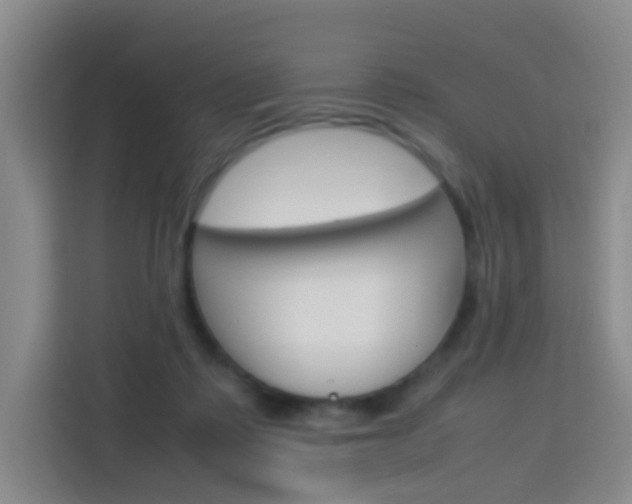 X0000114060315200910051001