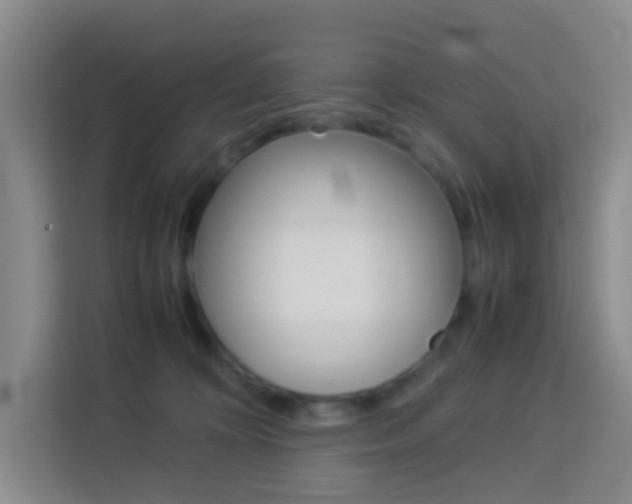 X0000114060324200910051000