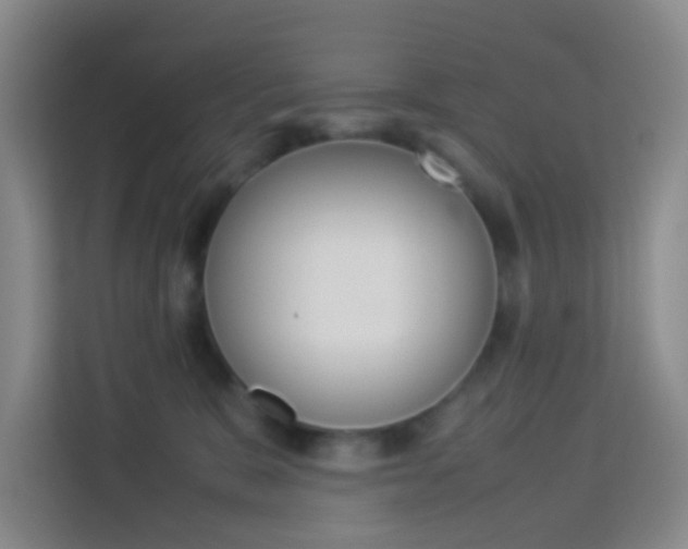 X0000114060327200910051000